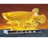 招財(cái)金龍魚